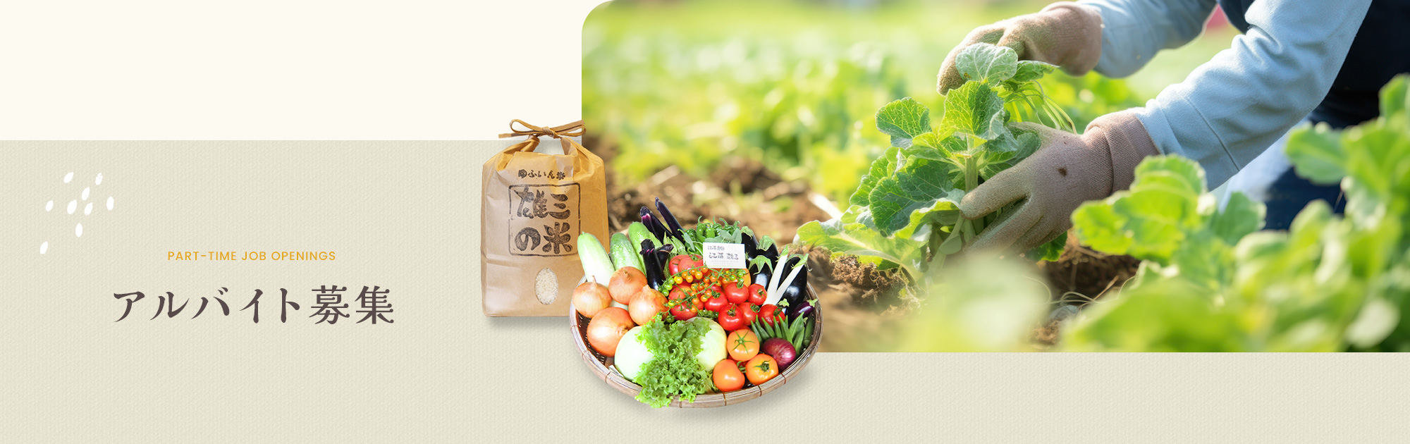 アルバイト募集